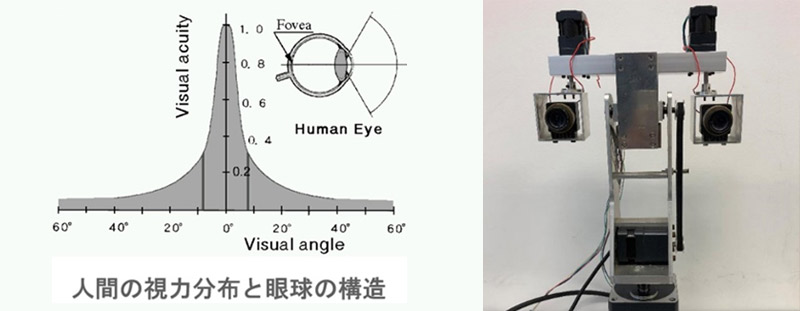 清水研究室